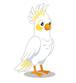 Cockatoo